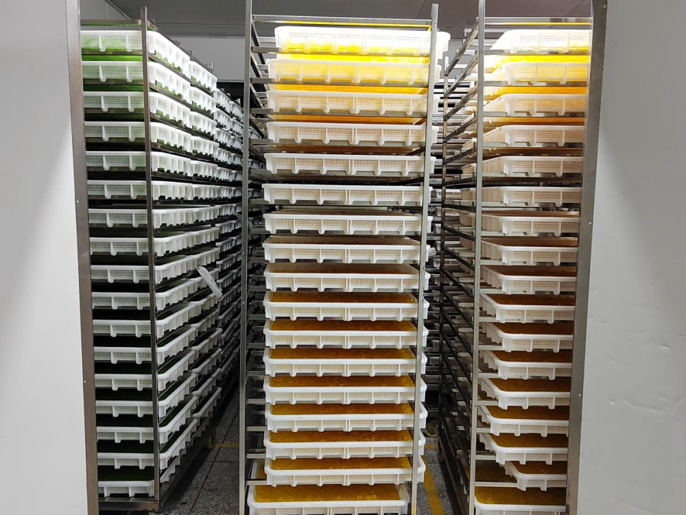 8.Trusted Candy Manufacturing Company, Drying