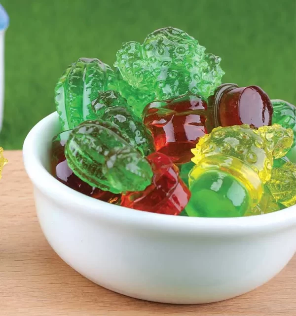 Novelty 4D Cactus Gummies Bulk, Gummy Candy Wholesale-3