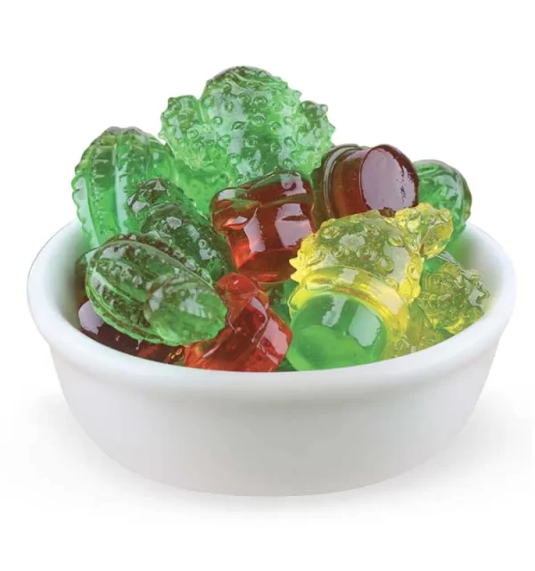 Novelty 4D Cactus Gummies Bulk, Gummy Candy Wholesale-6