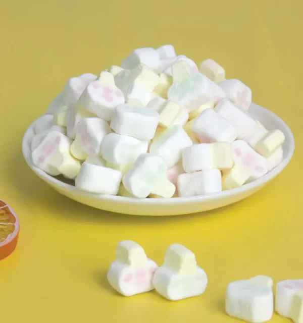 Bonbons à la guimauve et à la citrouille en vrac, vente en gros de bonbons d'Halloween-1