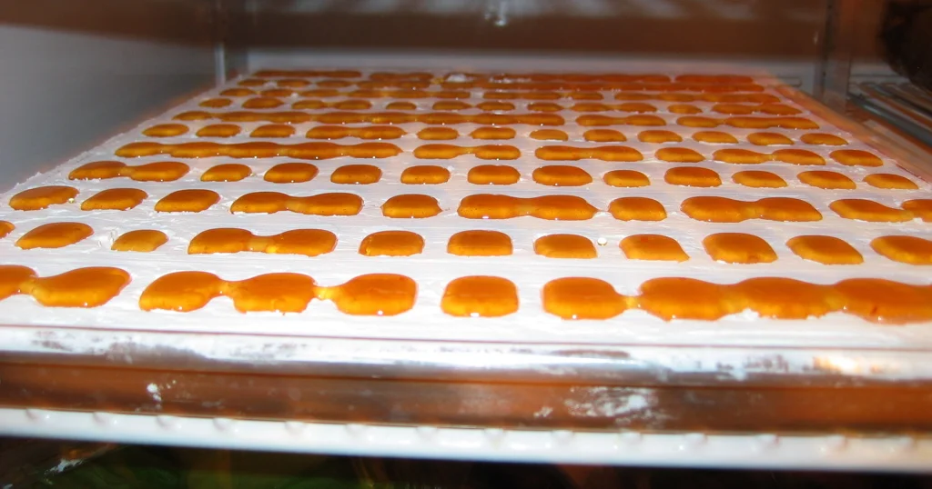 Gummy Candy Manufacturing Process at LeChao Candy Factory-3