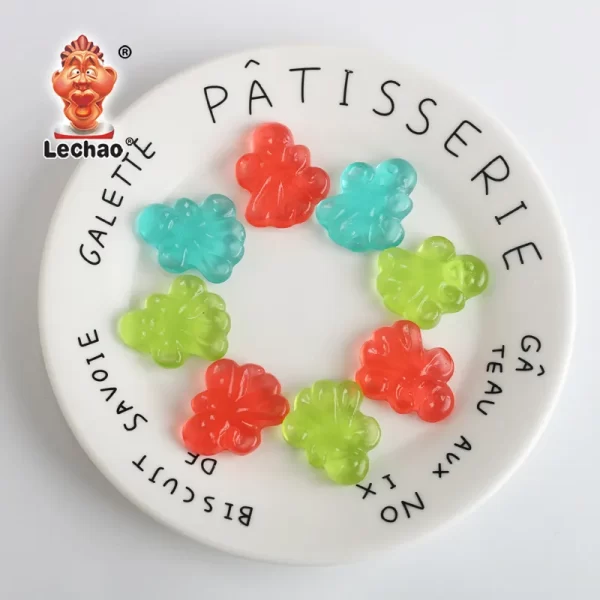 LeChao Bulk Gummy Octopus, Assorted Gummy Candy Wholesale-1
