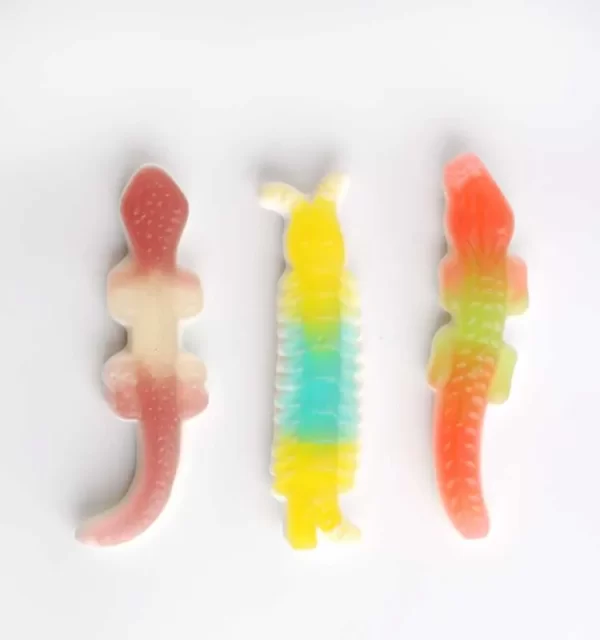 LeChao Bulk Gummy Animals, Centipede Gecko Crocodile Gummy-4