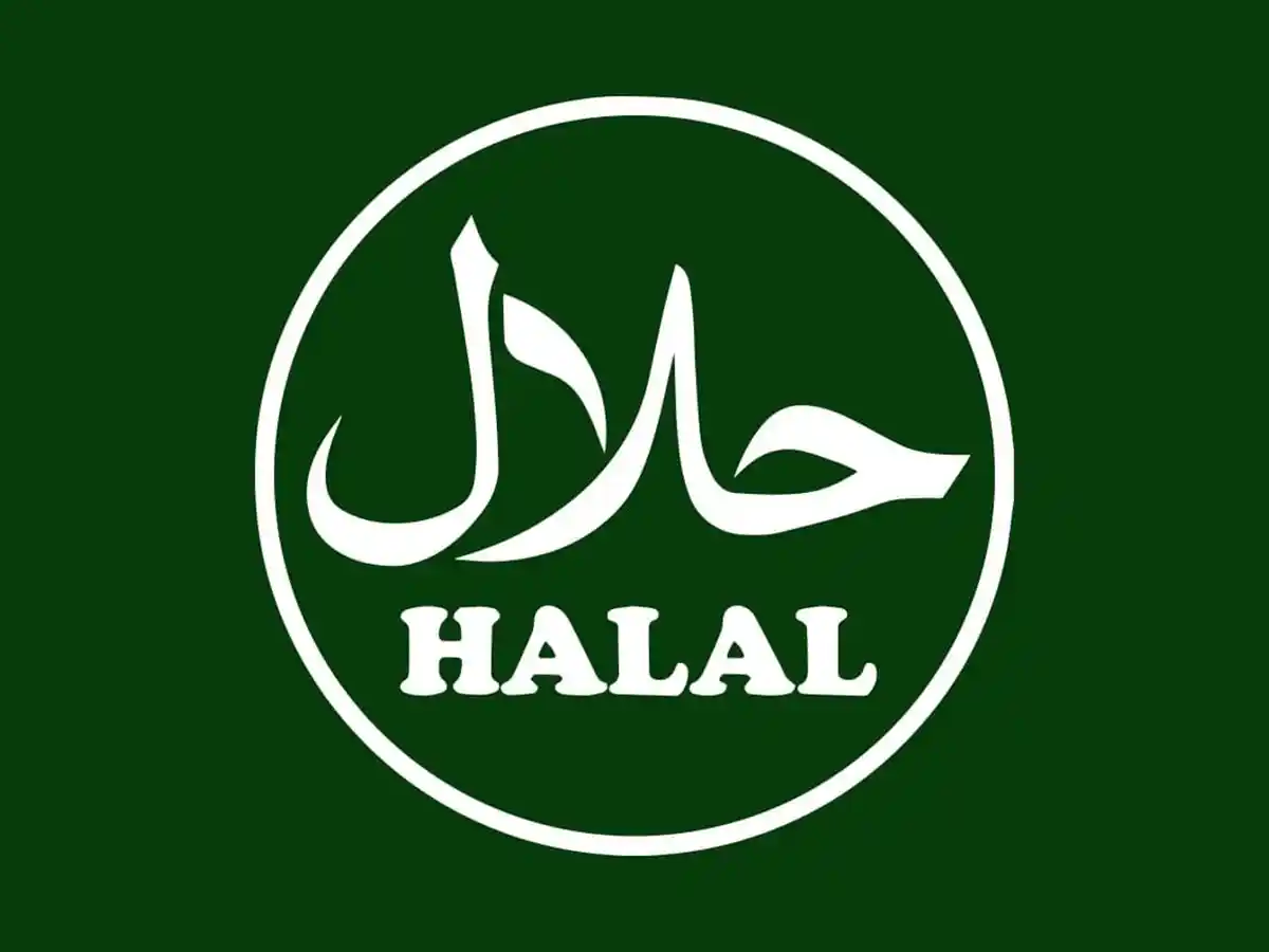 Learn About Halal Gummy Candies