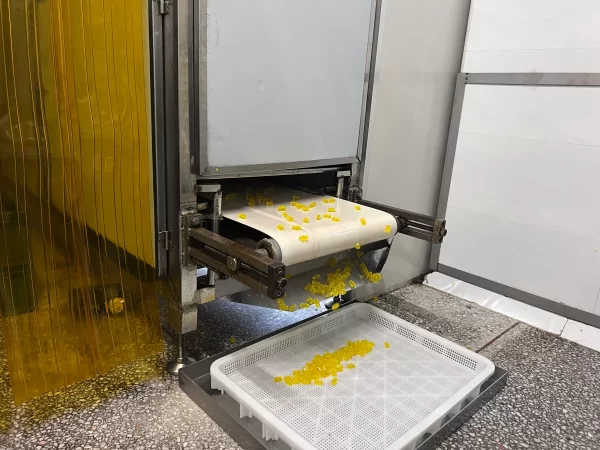 Automated Depositing & Curing