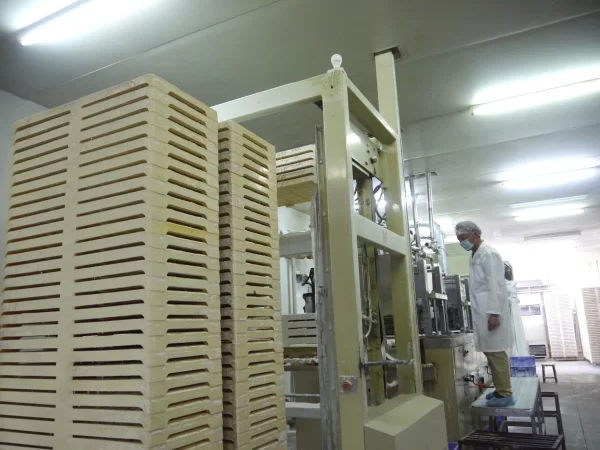 Automated Depositing & Curing