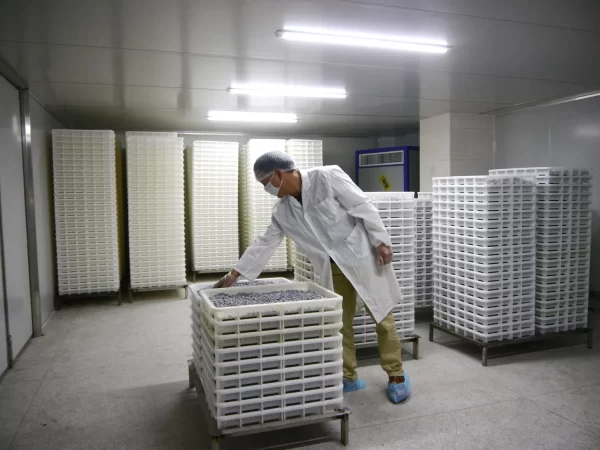 Surface Finishing & Quality Assurance