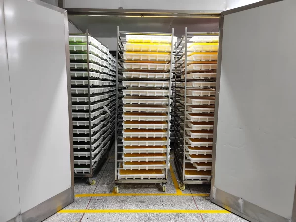 Surface Finishing & Quality Assurance